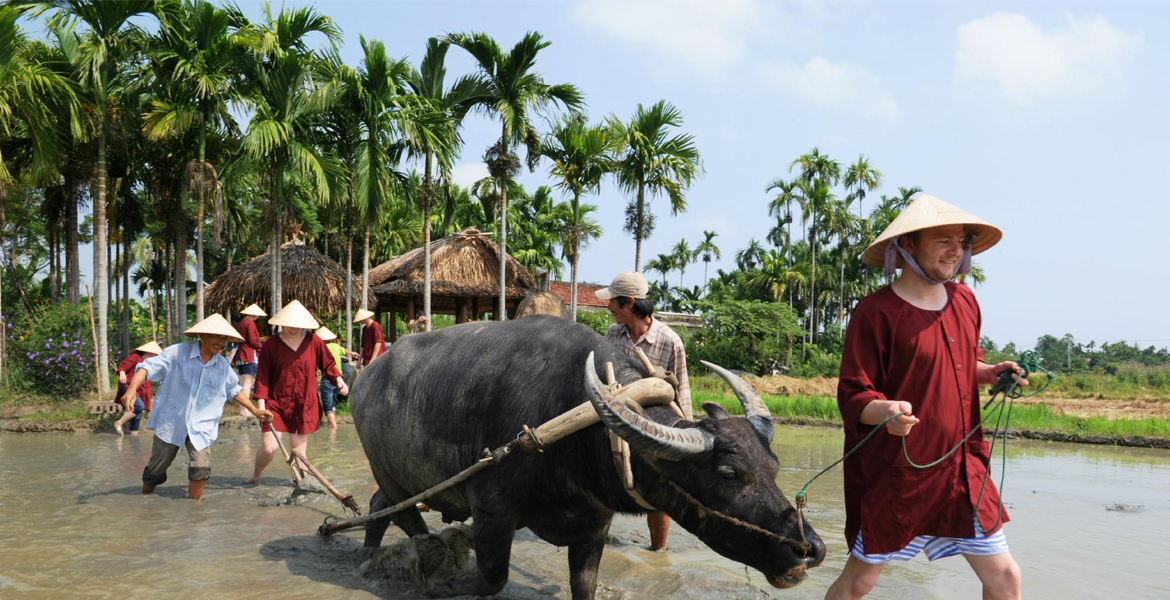 Hoi An Half Day Agricultural Tour